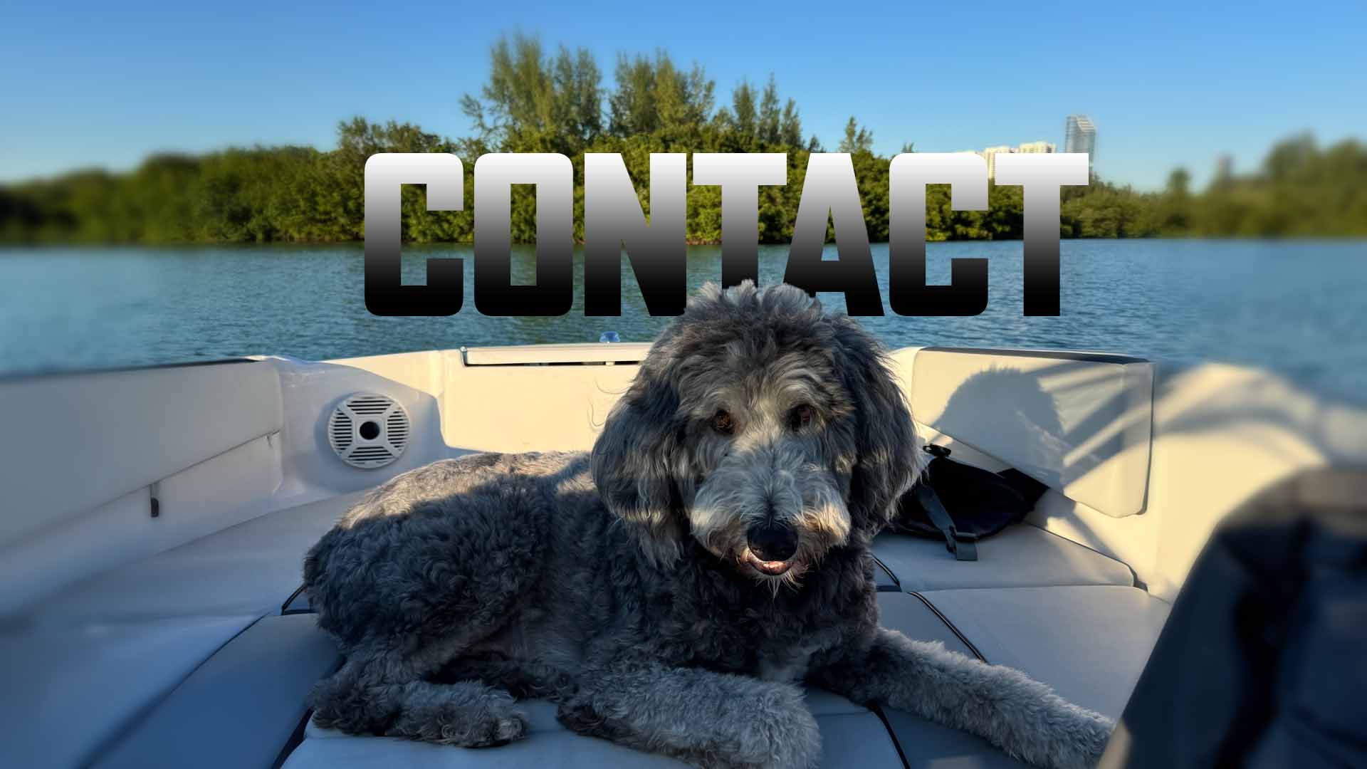 Contact Button